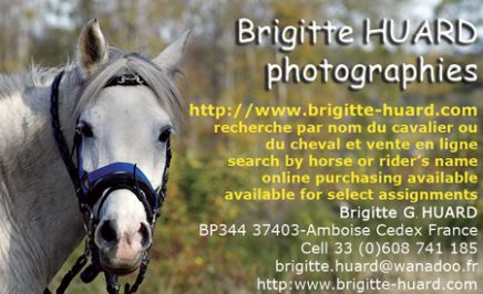 Cliquez pour aller sur le site de Brigitte Huard.