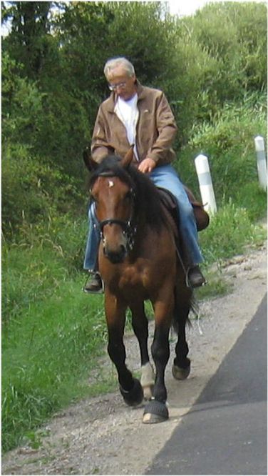Mirage du Haut Soreau, cheval de loisir, rando dans la Brenne, 15 août 2010.