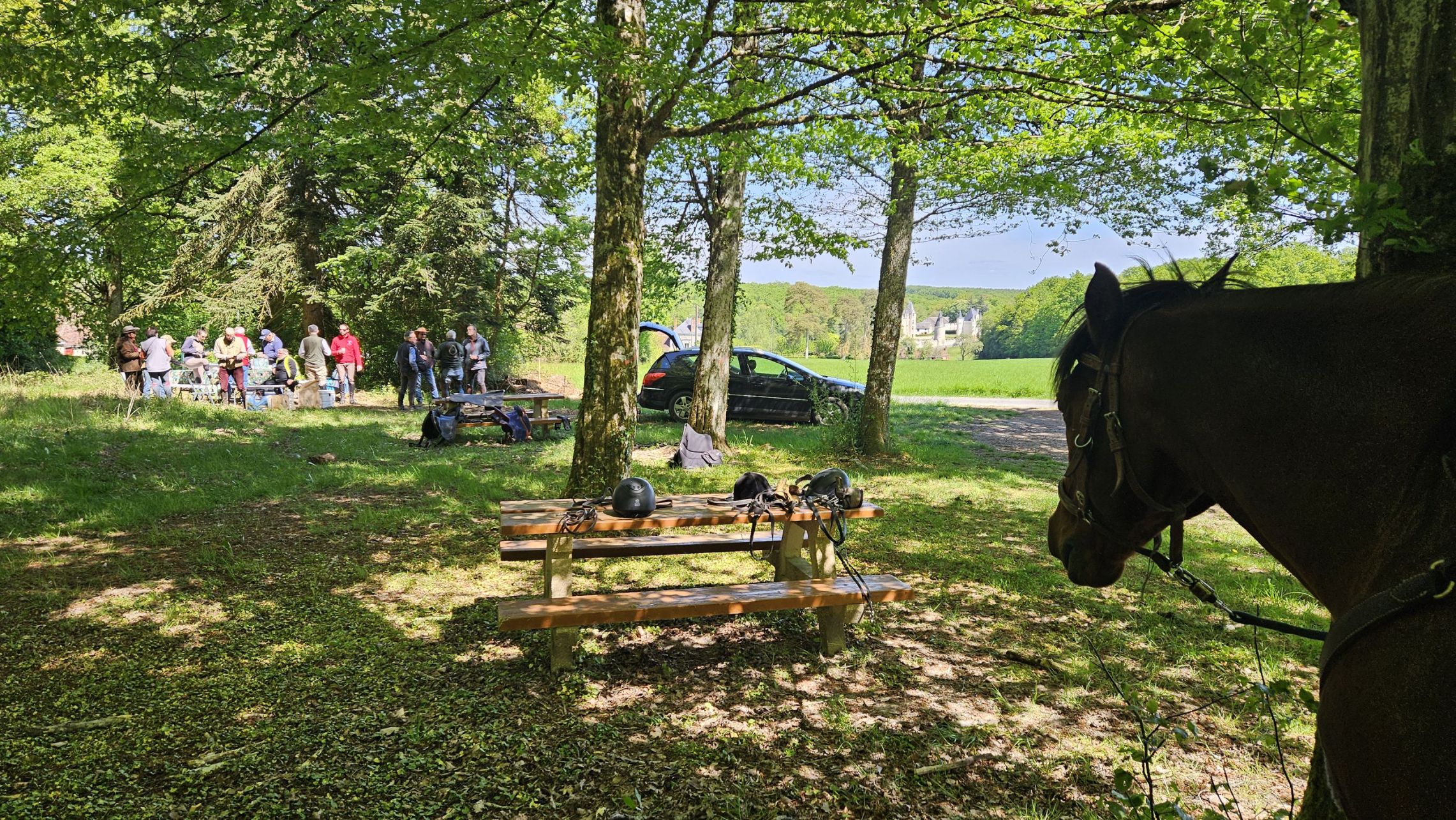 Randonnée Les Ecuries de la Charriere à Montpoupon (37) 19 04 26, route d'Artagnan