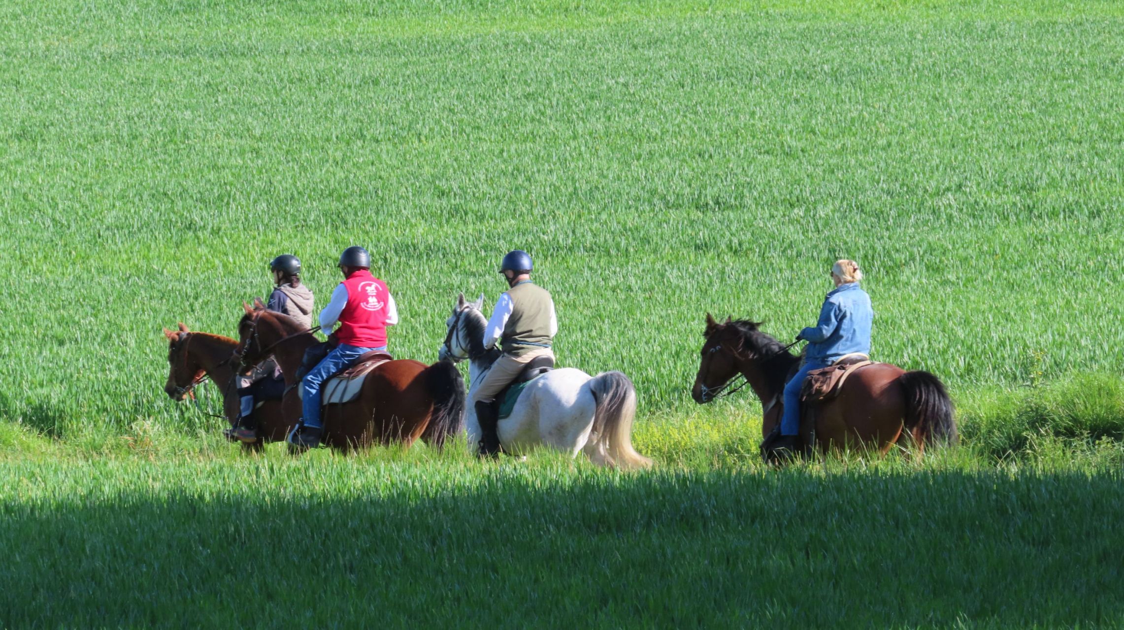 Randonnée Les Ecuries de la Charriere à Montpoupon (37) 19 04 26, route d'Artagnan