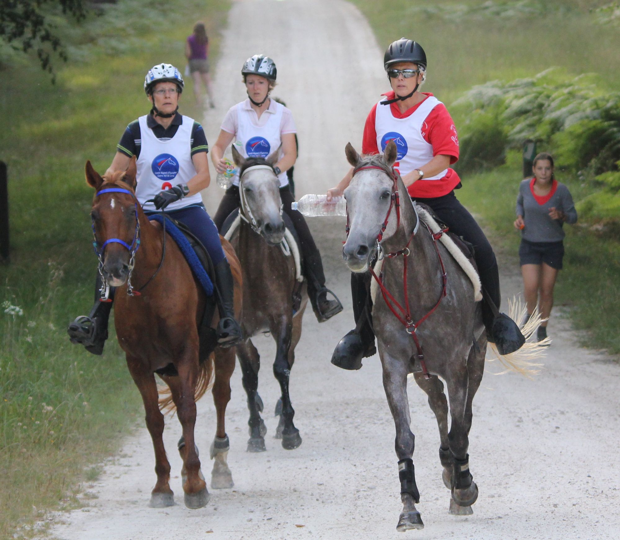 Bernadette Bonnel, Veronique Pinault avec Radonesik Armor, Evelyne Bouyé avec Qualsik Charriere à Bouzy (45) en 2012