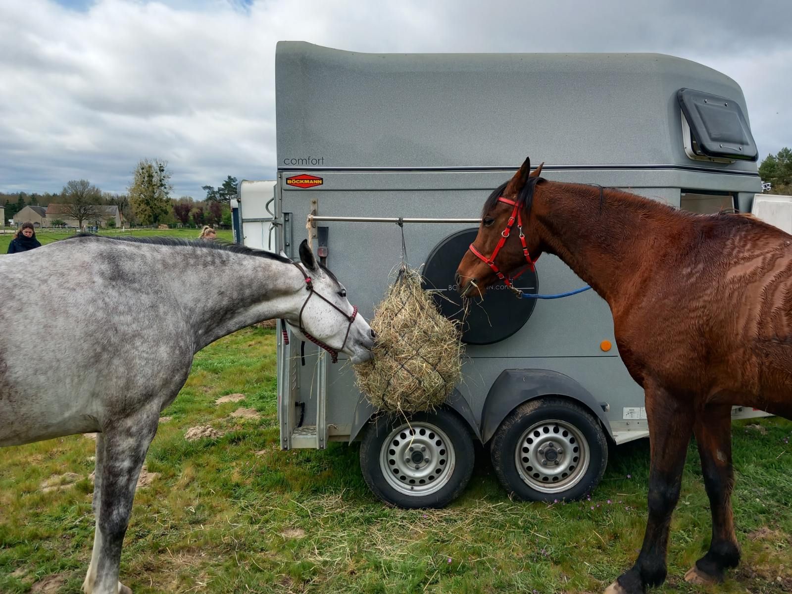 Louise Dumas avec Lyrsign de Kerrougant et Jacques Grandhomme avec Ivanhoé d'Elssane à Bouzy (45) , le 5 avril 2026