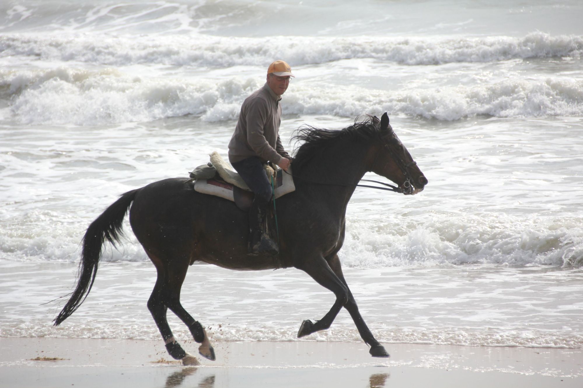 Les Ecuries de la Charriere aux Mathes (17) en 2012 (Gerard Jaccaz)