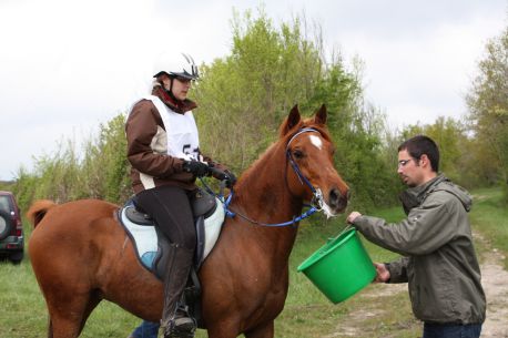 Opium Arby et Sabrina à Mezière en Brenne en 2009.