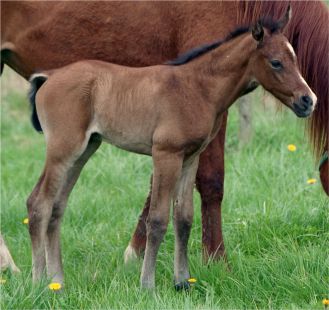 Onyx Charrière à son premier jour.