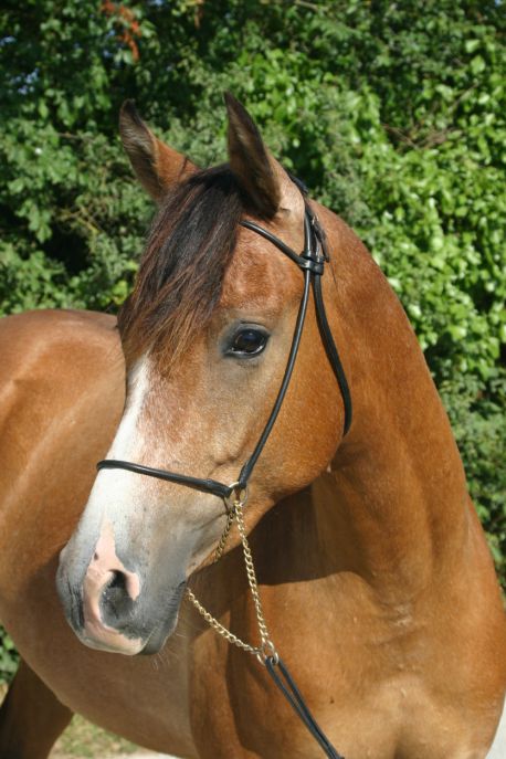 Onyx Charriere à 2 ans.