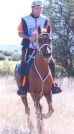 Cliquez sur la photo pour voir le site. Rio Endurance, elevage et entrainement du cheval d‘endurance (45630 Beaulieu sur Loire)