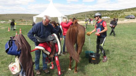 Vet gate de la Citerne sur le causse