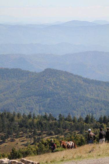 Nicolas Duguet avec Opium Arby sur les 160 km de Florac après l‘ascention du mont Aigoual